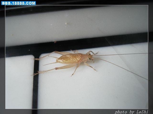 http://www.fjsenfa.cn/pics/default/download/b5e4989a69abbae64c39ca29f8188dd5.jpg