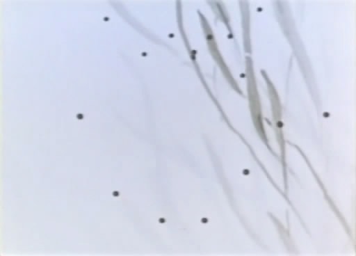 http://www.fjsenfa.cn/pics/default/download/b66b2b9c2ebd3e0c8a5492087c5973ec.jpg