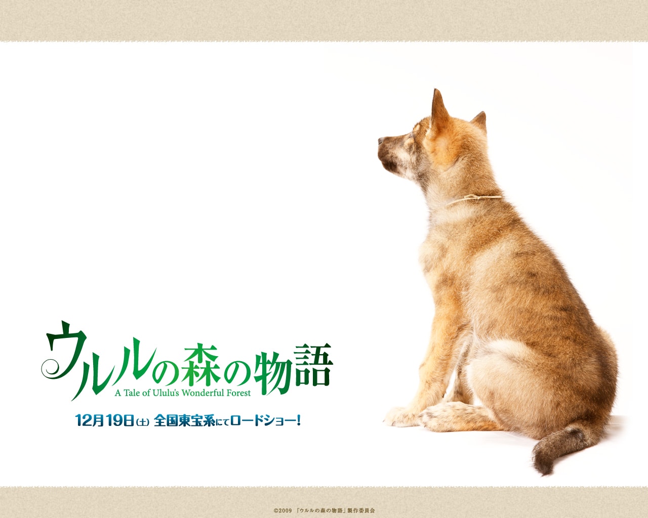 http://www.fjsenfa.cn/pics/default/download/ba84462665cdcd9723a8c13a3775a8c2.jpg