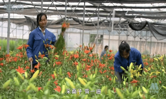 http://www.fjsenfa.cn/pics/default/download/bb61c320ac473a2cc332f38649455c7f.jpg