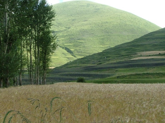 http://www.fjsenfa.cn/pics/default/download/bb6bb19442788e7febc09db015a223e0.jpg