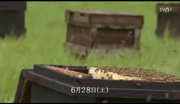 http://www.fjsenfa.cn/pics/default/download/bb914be0f0f9932fe2d4cfc16880b53c.jpg