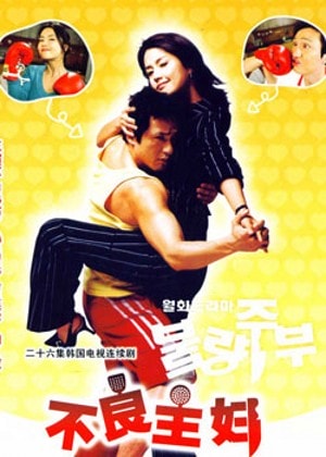 不良主婦日記  海報(bào)