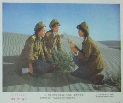 http://www.fjsenfa.cn/pics/default/download/bbaeb7357d6acd3af431294958761d1c.jpg