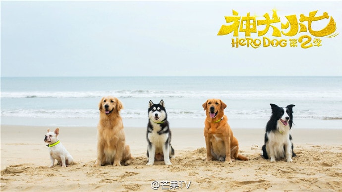 http://www.fjsenfa.cn/pics/default/download/bbc164f1121fcfeb3d0a51a241bf0328.jpg