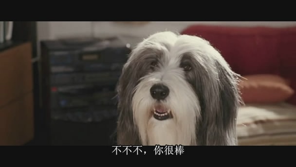http://www.fjsenfa.cn/pics/default/download/bc4b71760b1b36880c1371a92ccb644b.jpg