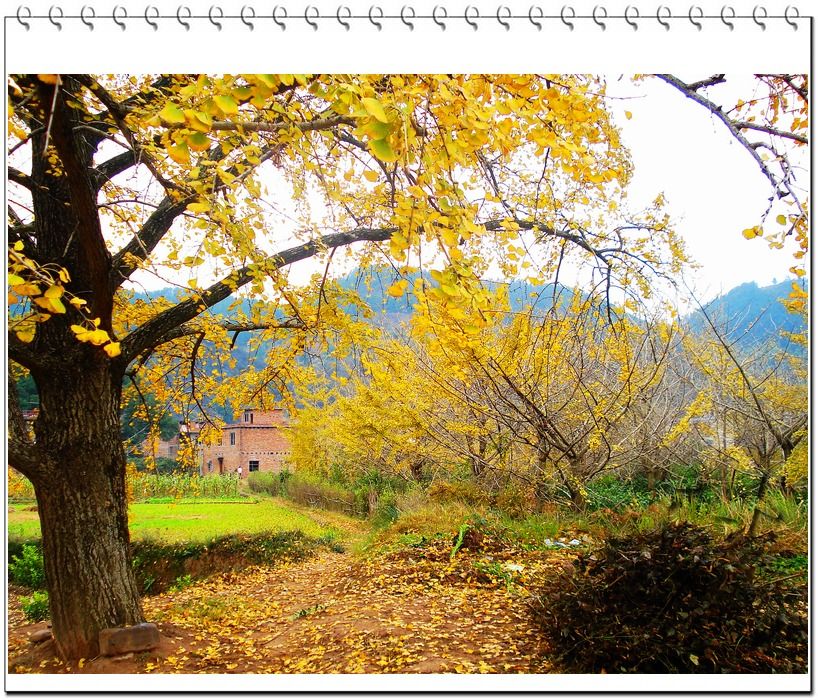 http://www.fjsenfa.cn/pics/default/download/bca6169c308bc4a099e03c40a064ce41.jpg
