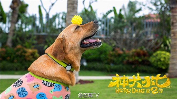 神犬小七2未刪減版  萌寵劇照