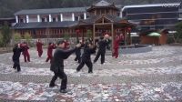 程保榮大師藍(lán)孔雀園老架片斷