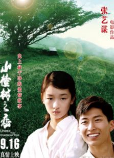 山楂樹之戀