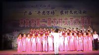 來賓市興賓區(qū)老年大學(xué)演出（1）