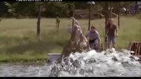【看大片】史前巨鱷2Lake Placid 2 (2007)中文預告