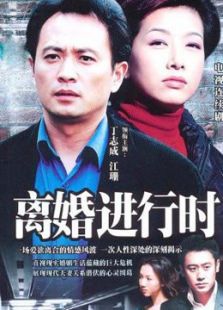 離婚進行時