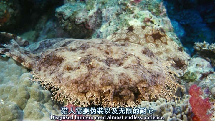 http://www.fjsenfa.cn/pics/default/download/bf9b3c7d053429d56f8ff048daa99788.jpg