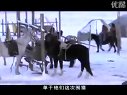 【昭君出塞】單于第二次圍獵歸來