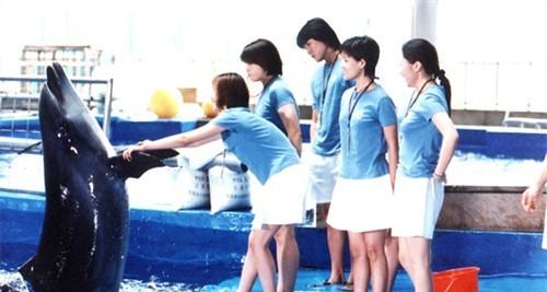 http://www.fjsenfa.cn/pics/default/download/c1395ab213217c9dd0f3aebe0798448c.jpg