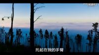 愛(ài)剪輯-作為一棵樹