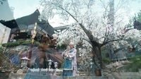 寂寞空庭春欲晚 TV版 《寂寞空庭春欲晚》張彬彬牽手鄭爽 詮釋一生一代一雙人的不渝愛情