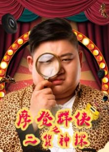 摩登神探之二貨神探