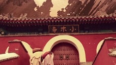 先行版預告片
