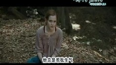中文版預(yù)告片2