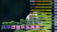 龔玥 - 從頭再來3 - 卡拉OK歌曲