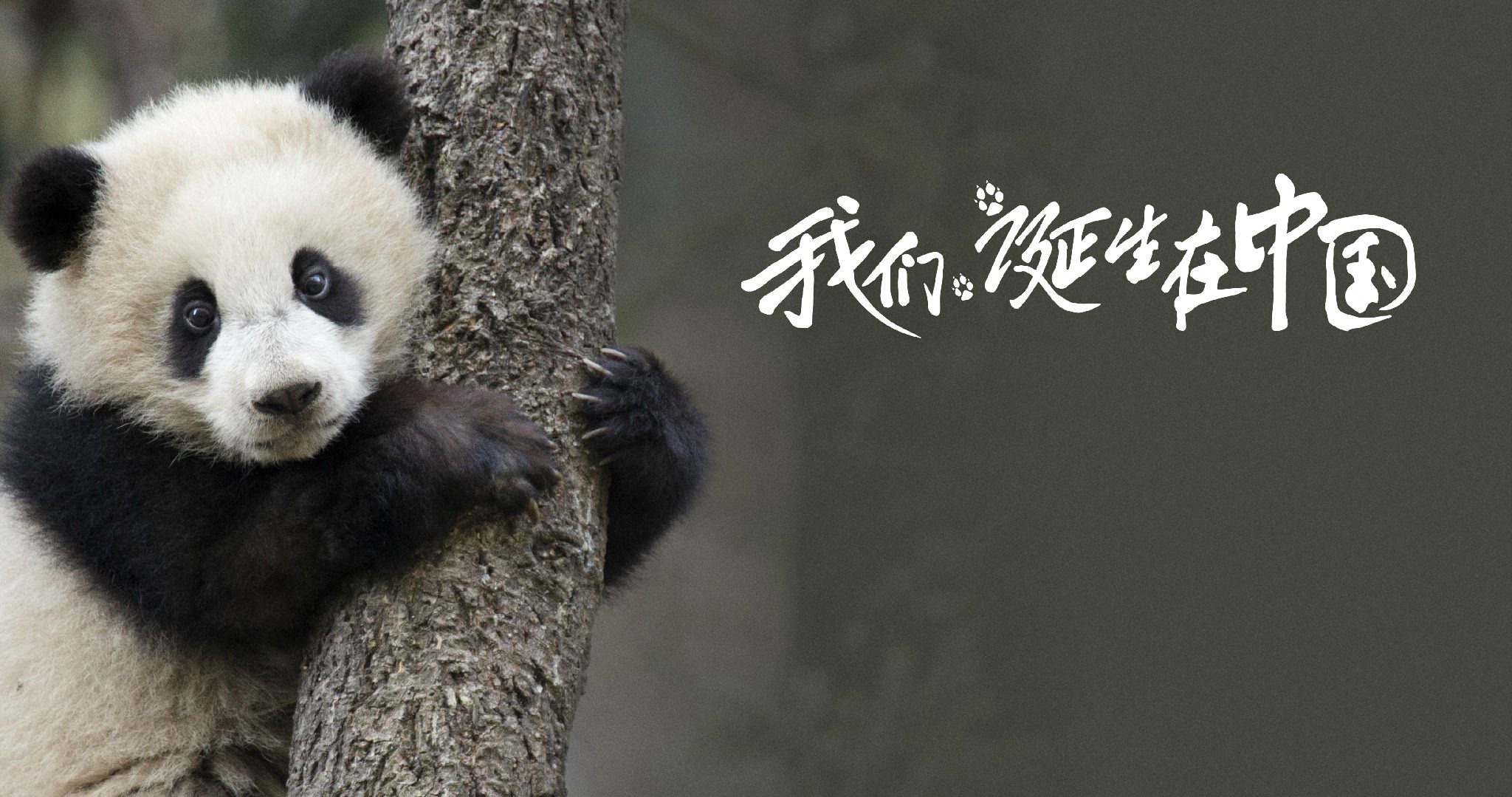 http://www.fjsenfa.cn/pics/default/download/c3a5acc9c85c5ba986f3727be50a6f58.jpg
