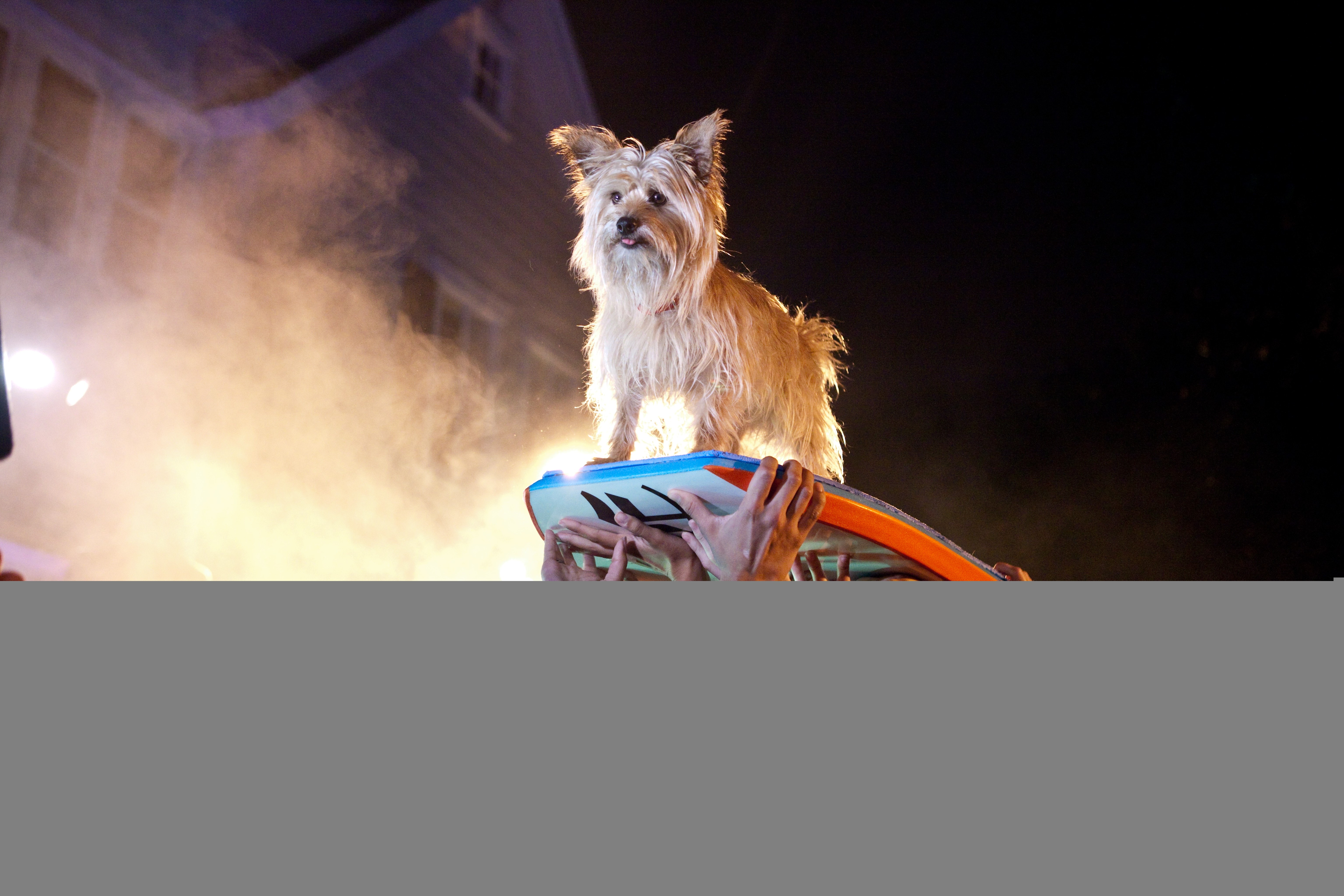http://www.fjsenfa.cn/pics/default/download/c677ff36af6c82ac0d261851a073f6d9.jpg