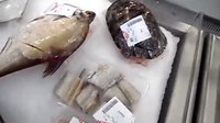 [拍客]武漢超市賣死烏龜，這能吃嗎？是便宜，才10來塊錢，但這能食用嗎？這不是變質(zhì)毒物嗎？