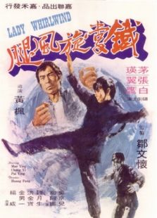 鐵掌旋風腿