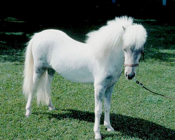 http://www.fjsenfa.cn/pics/default/download/c6ed7a034704c3217886c0046a60cf77.jpg