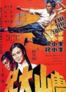 唐山大兄 粵語