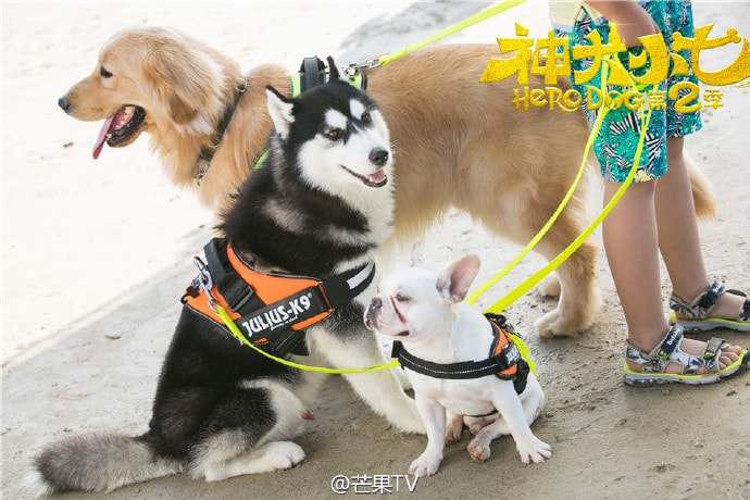 http://www.fjsenfa.cn/pics/default/download/c79be2266789ecf425075b1b7ad8c4d4.jpg