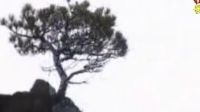 殷秀梅、程志《共和國之戀》，謳歌祖國，大氣磅礴