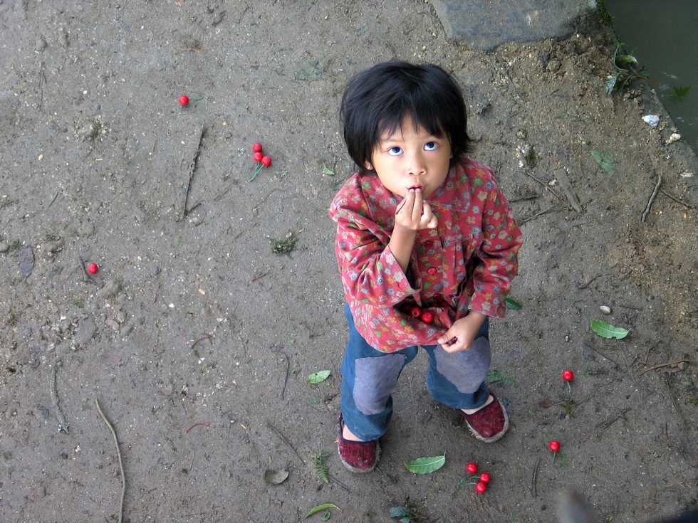 http://www.fjsenfa.cn/pics/default/download/c89ac7d02ada8e4d1faaf1129110d09f.jpg