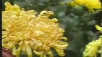 紅樓夢[追憶陳曉旭]春露劇場18寶玉離恨贈詩