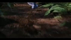 DVD/藍光發(fā)售預告片
