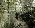 紅色兄弟連之閃電行動(dòng)I