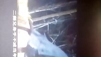 道士出山剪片版手機錄制.