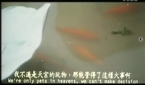 http://www.fjsenfa.cn/pics/default/download/c9c778a7e1c8e947292cef7e0ea16730.jpg