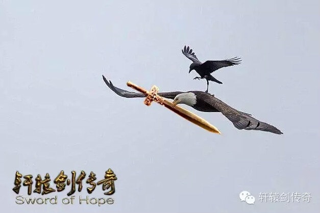 http://www.fjsenfa.cn/pics/default/download/c9d343866202fd12a882a36d8806be76.jpg
