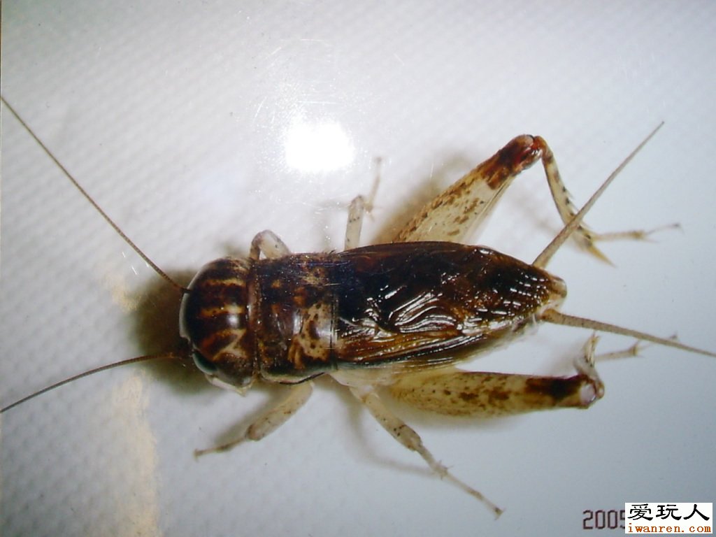 http://www.fjsenfa.cn/pics/default/download/caccf46ae6489b924c86b49e78e7970b.jpg