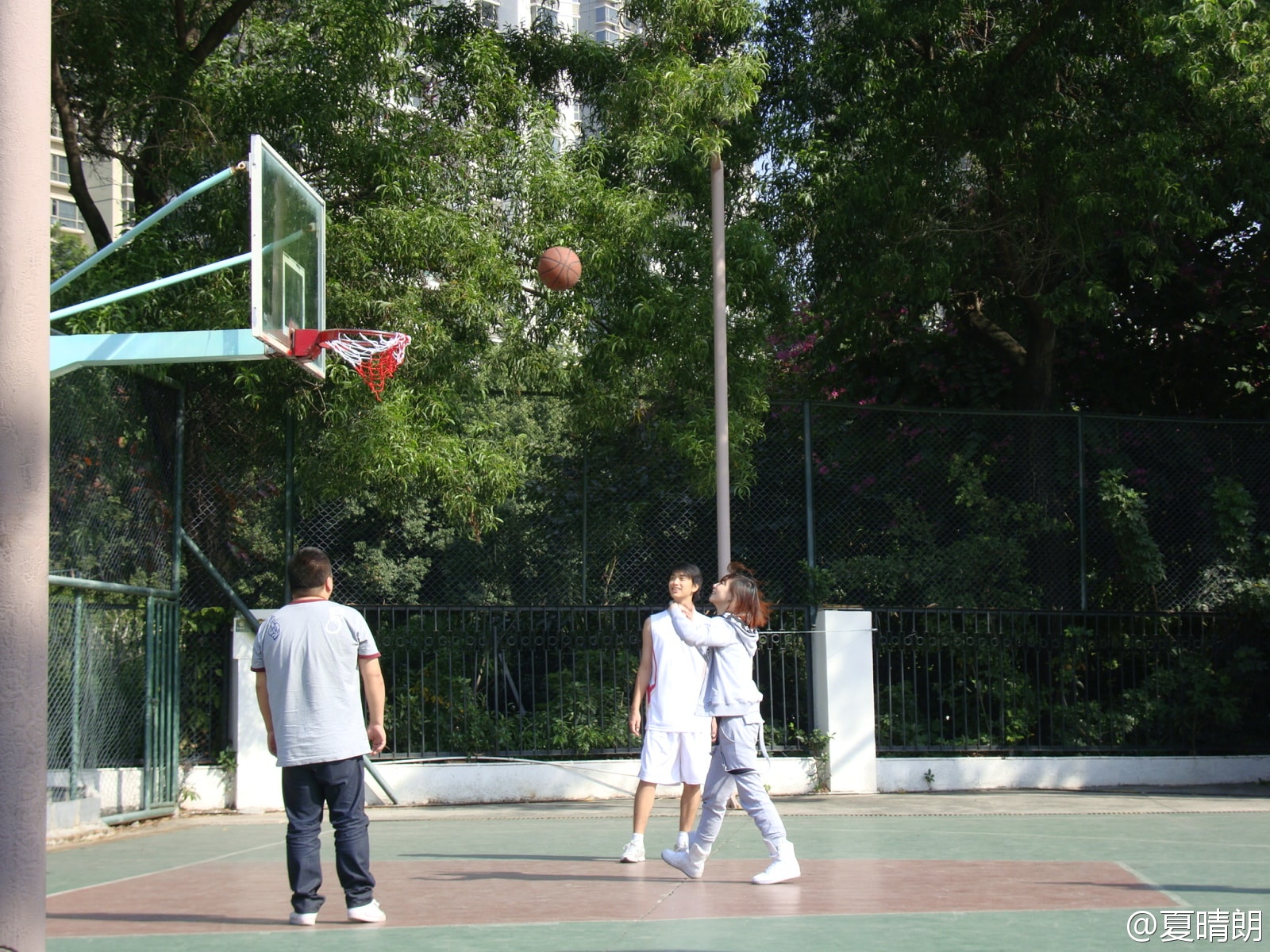 http://www.fjsenfa.cn/pics/default/download/cb3481d22523e4b9c782962af14aa0ea.jpg