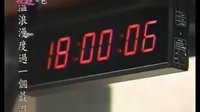 我的愛金枝玉葉電視劇全集