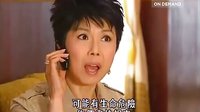 嘉美的騙局