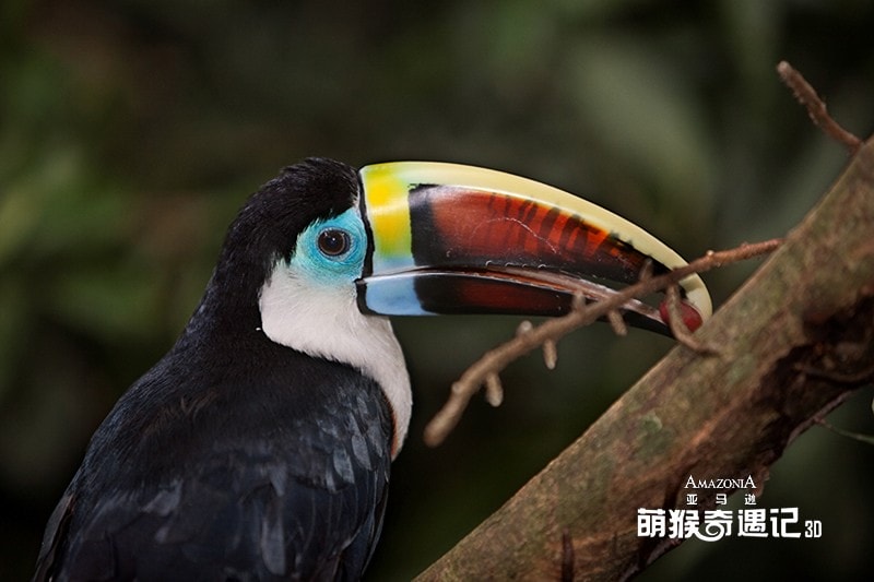 http://www.fjsenfa.cn/pics/default/download/cd05a4f6eadaf8174deb8895b9729f3c.jpg
