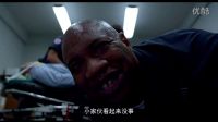 《九條命》如果有一天你醒來(lái)的時(shí)候發(fā)現(xiàn)自己變成了一只貓-你會(huì)怎么辦