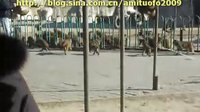 2011年1月30日阿彌陀佛護生蓮社去動物園皈依
