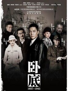 臥底衛(wèi)視版