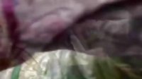 我為宮狂第3集